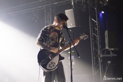 2024-04-25-BirdsInRow-EpicerieModerne-Feyzin-JulienM-01