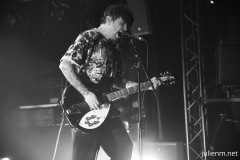 2024-04-25-BirdsInRow-EpicerieModerne-Feyzin-JulienM-12