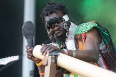 2024-06-27-FuluMiziki-Greenpeace-GlastonburyFestival-JulienM-03