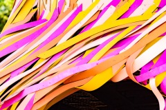 2025-06-27-Jarvis-DJset-GreenpeaceStage-JulienM-04