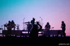 2023-06-25-Phoenix-Woodsies-Glastonbury-JulienM-20