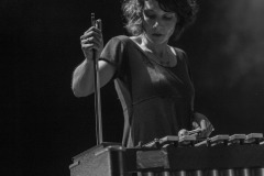 2019-07-23-SaintSadrill-NuitsdeFourviere-06