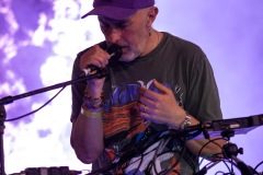 2025-06-27-YannTiersen-TreeStage-GlastonburyFestival-JulienM-05