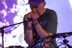 2025-06-27-YannTiersen-TreeStage-GlastonburyFestival-JulienM-06
