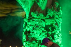 2025-06-27-YannTiersen-TreeStage-GlastonburyFestival-JulienM-10