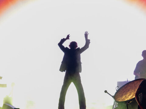 Pulp